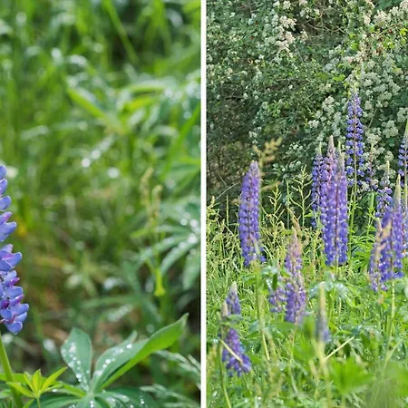 10053-ulfborg-svollingvej-2 Prázdninový dům