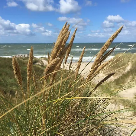 Prázdninový dům 10053-ulfborg-svollingvej-2 Øby