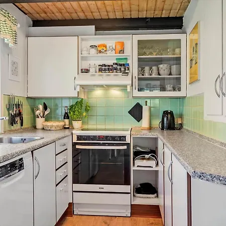 Tatil Evi 10053-ulfborg-svollingvej-2